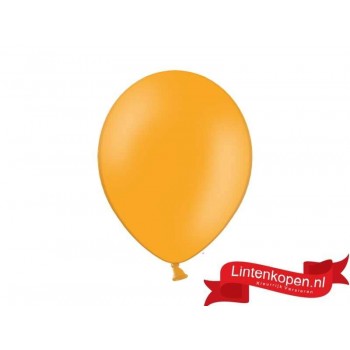 10 Oranje Ballonnen