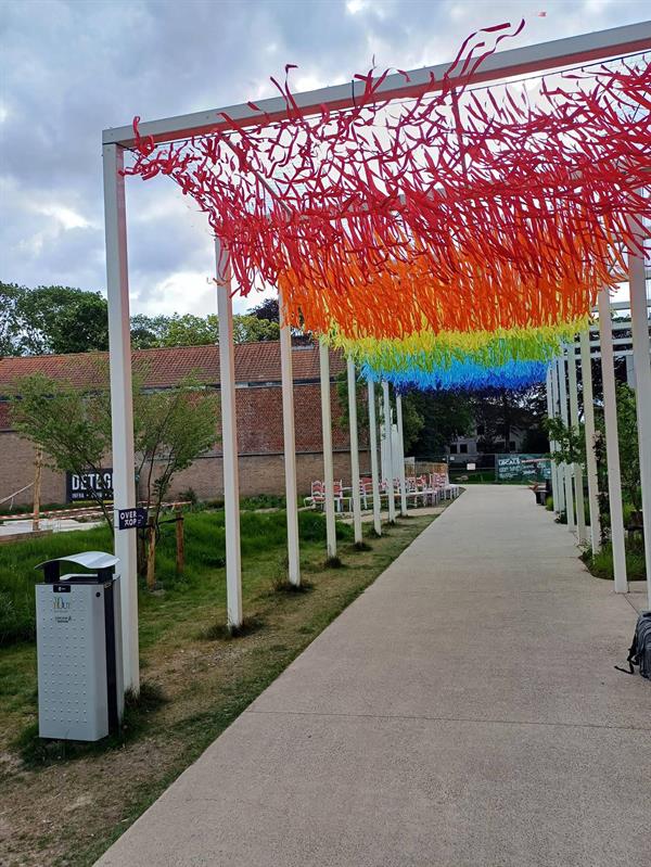 Regenbooglint project Torhout
