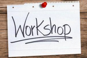 satijn lint workshop