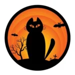 halloween decoratie